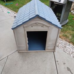 Dog House 