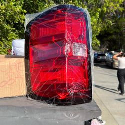 2009-2014 Chevy Pick Up - Taillight 