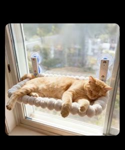 Cat window bed