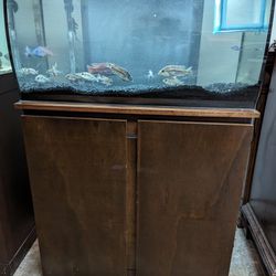 33g Fluval Fish Tank