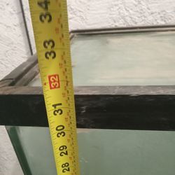 Fish 🐟 🐠 🎣 🐡 🍥 tank