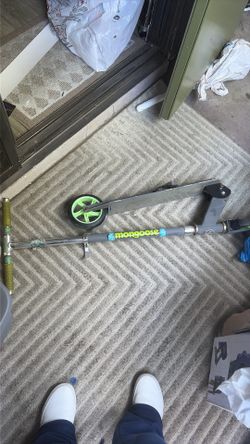 Scooter Mongoose