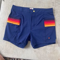 Aviator Nation Swimming Trunks 