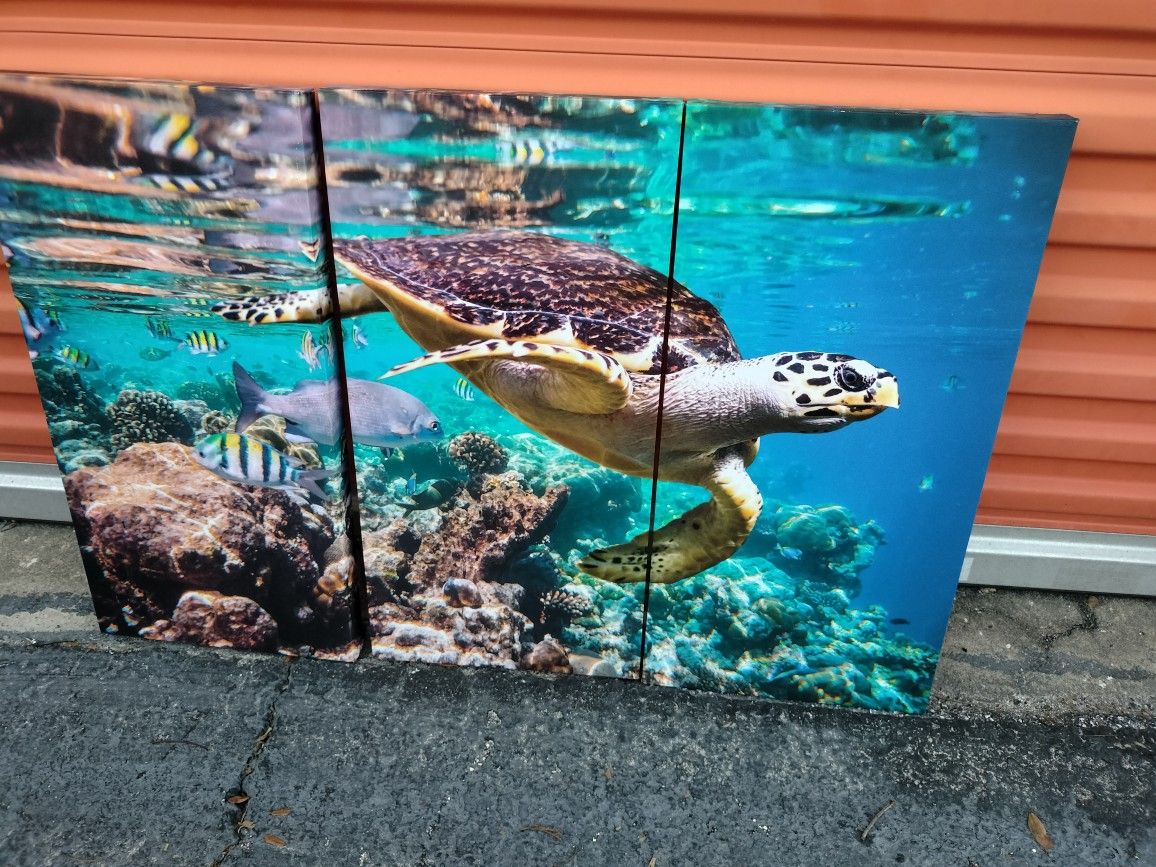 🌊 Bring the Ocean Vibes Home! 🌊