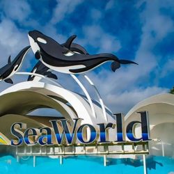 2 Seaworld Tickets For $30