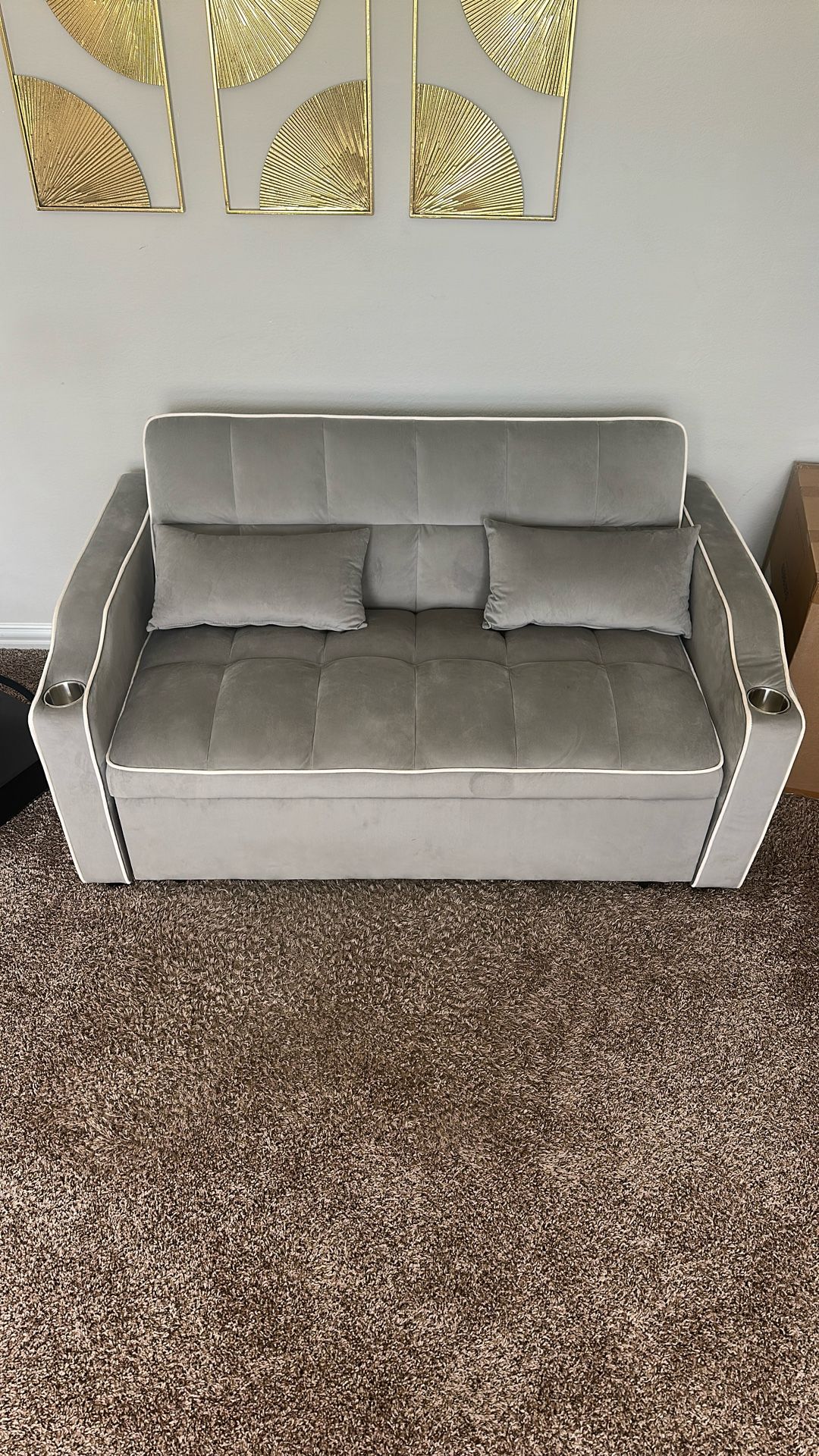Futon Couch