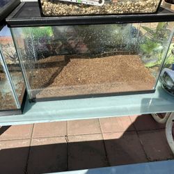 Reptile Tank 