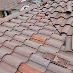 Roofin