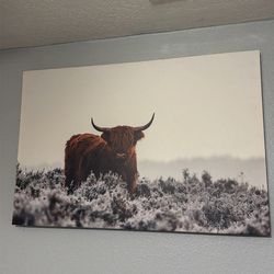 Highland Cow Wall Picture Frame
