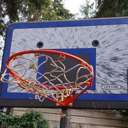10ft Adjustable Basketball Hoop