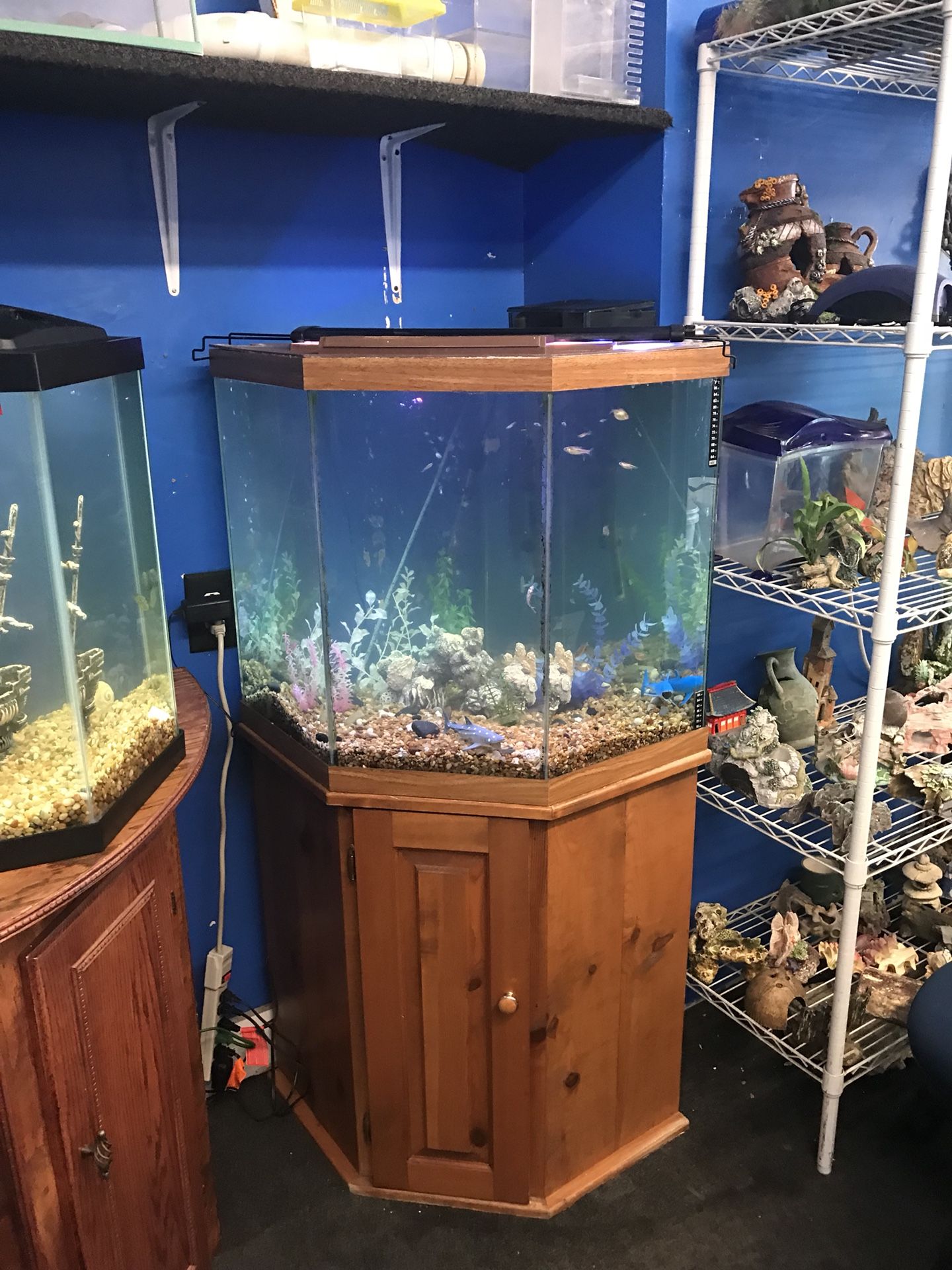 44 gallon corner Pentagon Aquarium fish tank complete $300