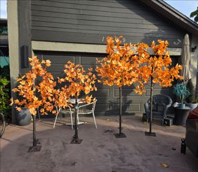 Set of 4 Led outdoor Fall Maple Trees (2) 8 ft and (2) 3FT in perfect working condition READ DESCRIPTION