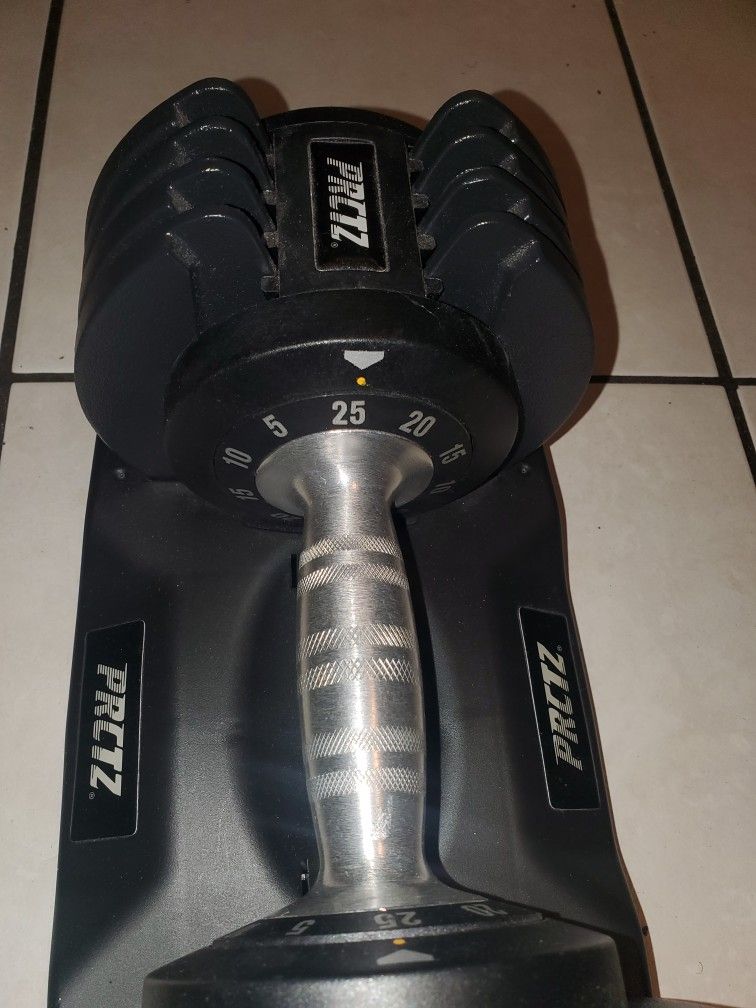 25 Pound Weights Interchangeable Dumbbell