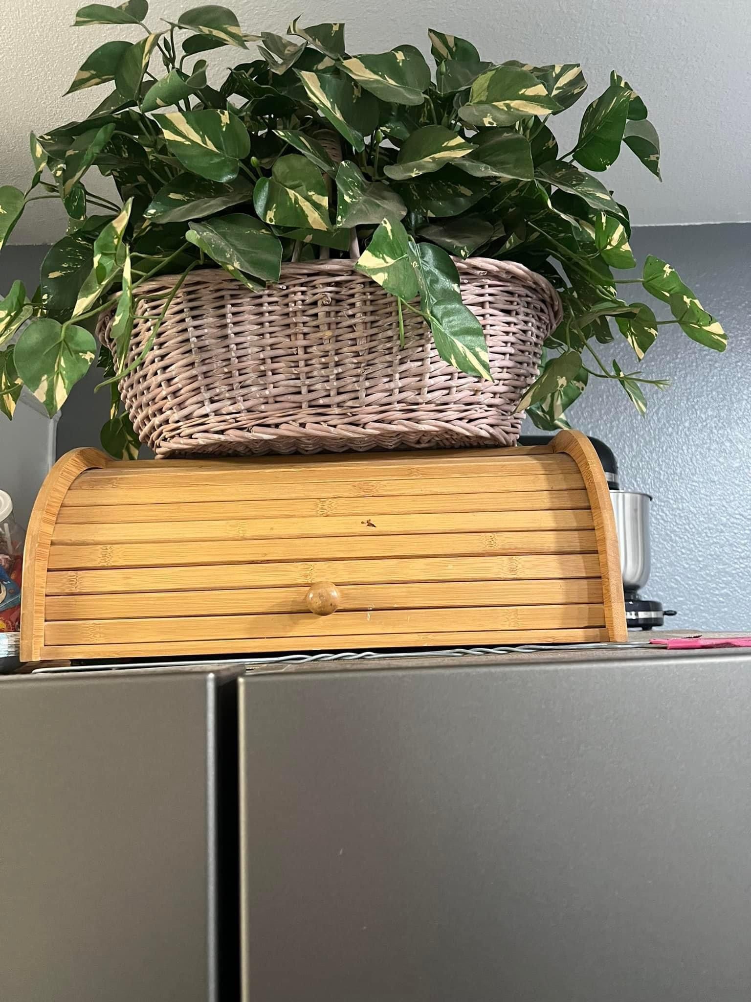 Artificial Plant & Bamboo Bread Holder