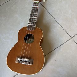 Ukulele