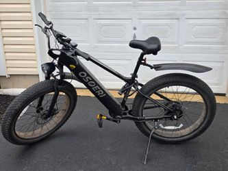 Osoeri Fat Tire Electric Bike