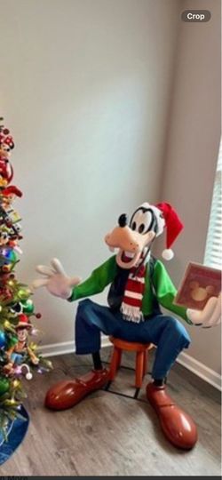 Brand new goofy