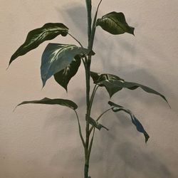 Artificial Plant dumb Cane 