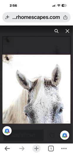 Large Horse wall art 40by 40