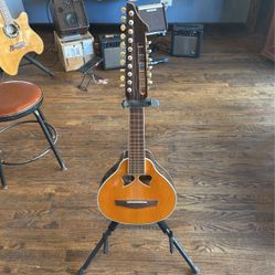 Folk instrument