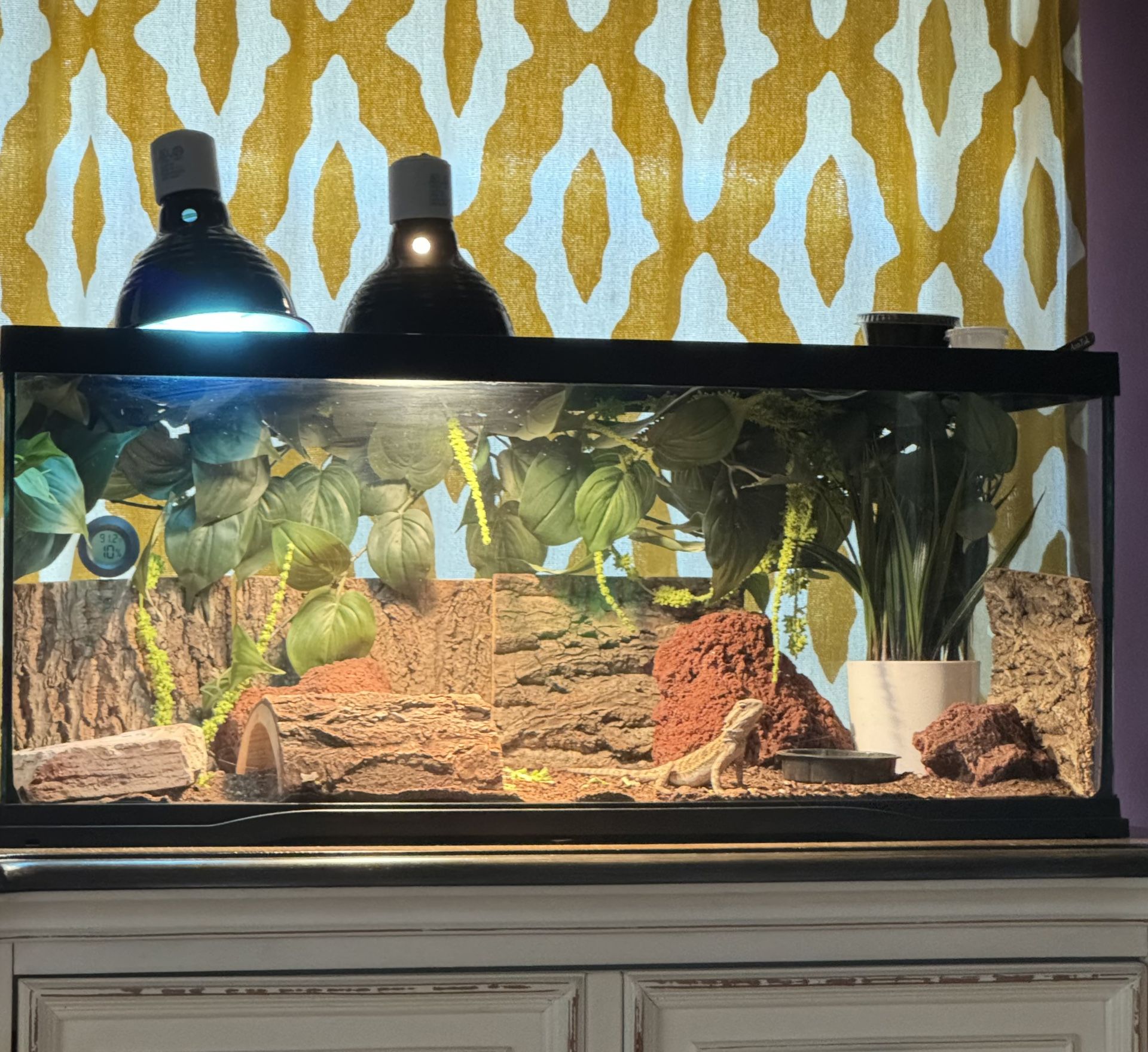 20 Gallon Reptile Enclosure Barely Used