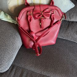 Large Purse