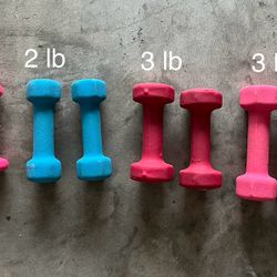 Sets of 1-3 lb Neoprene Handweights $15 for all