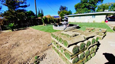 New Sod.NaturalGrass.