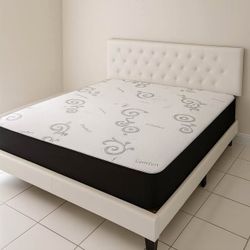 Queen Size Bed 🚚(Immediate-Delivery)💨