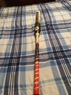 Softball Bat/ Demarini