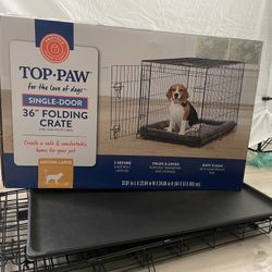 Fold Dog Crate