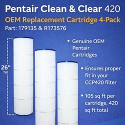Pool Filter Cartridges Pentair  CP420 Pentair