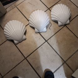 Shell Light Fixtures 75$