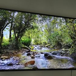 55 Inch Vizio TV