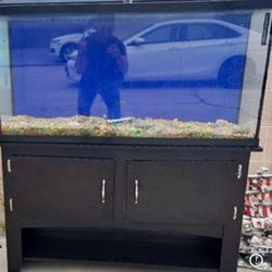 High Quality 60 Gallon Fish Tank 