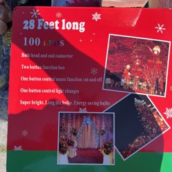 Christmas Led Lights $24