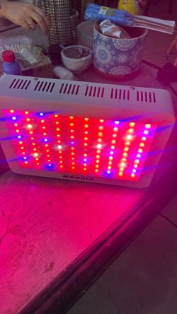 LED light