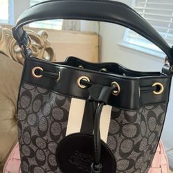 Bolsas De Diferentes Colores 