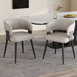 Modern Dining Chairs Set of 2