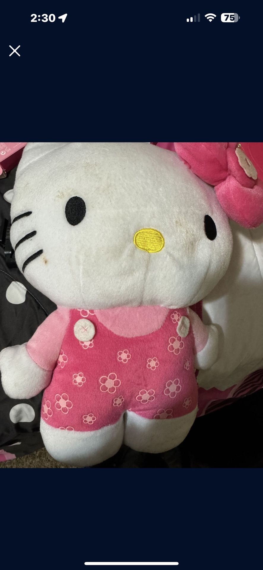 Hello Kitty, backpack