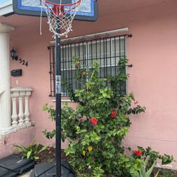 Lifetime Basketball Hoop