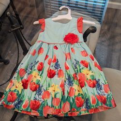 Baby Girl Dresses 