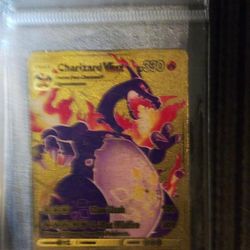 Charizard And Friends 