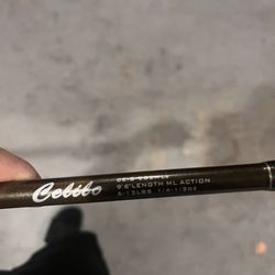 Salmon/steelhead Spinning Rod