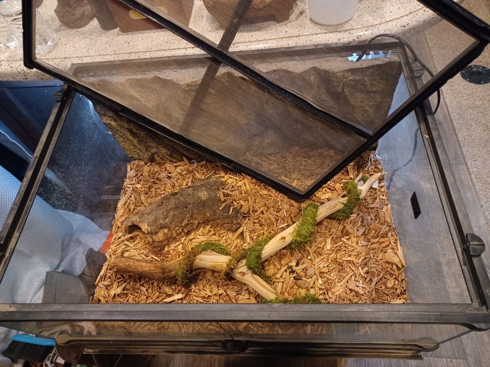 Snake Tank for Sale in Modesto, CA OfferUp