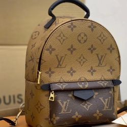 Louis Vuitton backpack