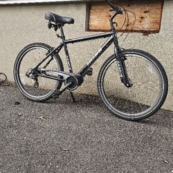 Boss Cruiser 7 Speed Bike