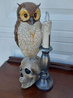 Owl on Skull with Candlestick Figurine  battery Operated New