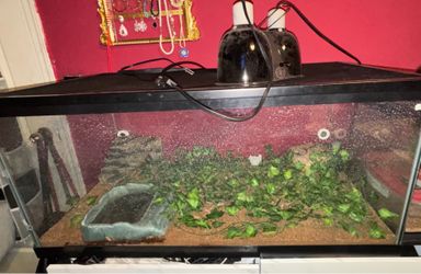 Reptile Tank Cage 40gal