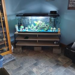 55 Gallon Aquarium 